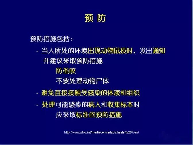 自然之旅的心灵觉醒，鼠疫最新章节详解